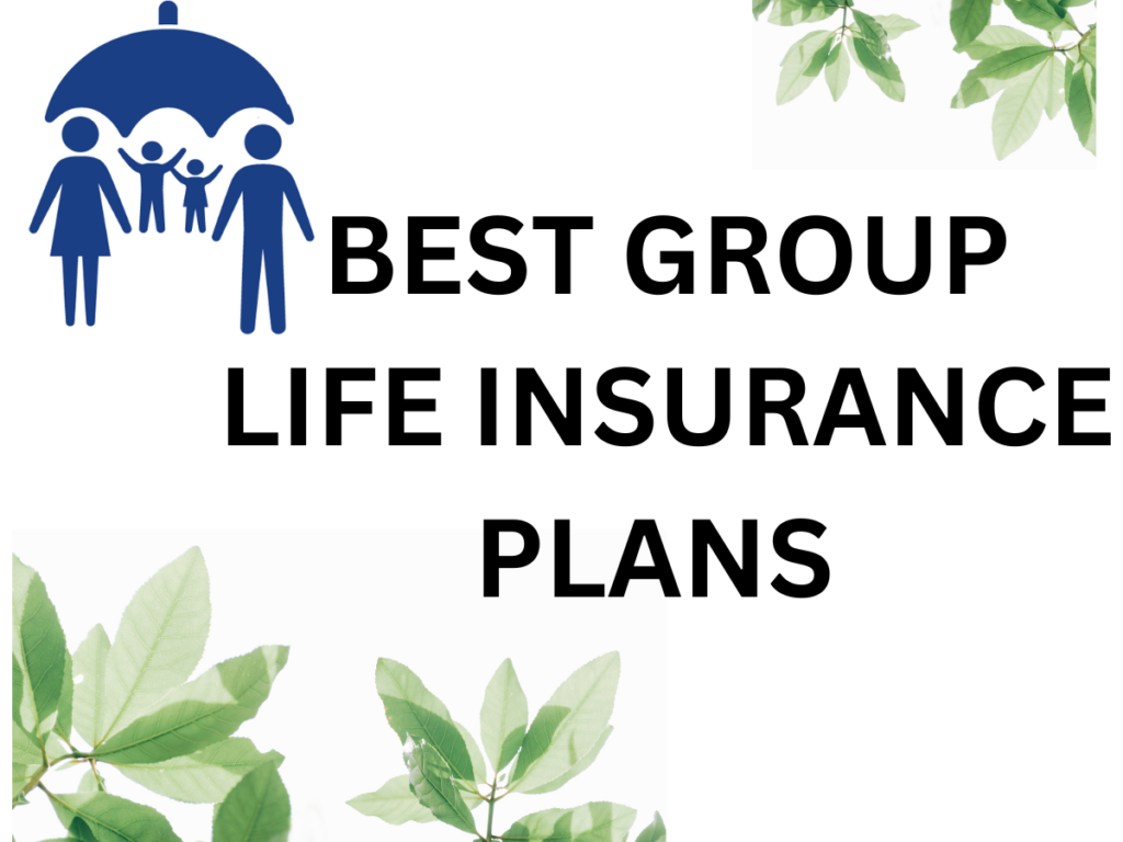 Best Group Life Insurance Plans (for USA)