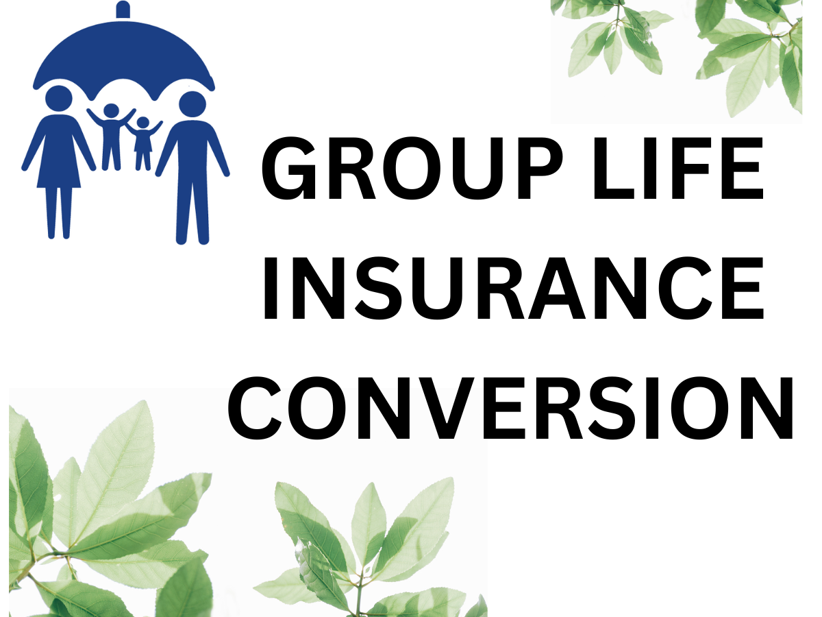 What is Group Life Insurance Conversion