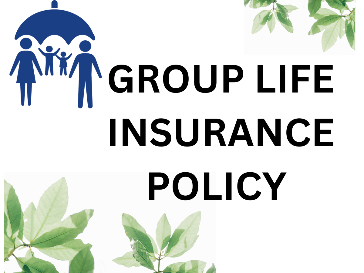 What is a group life insurance policy