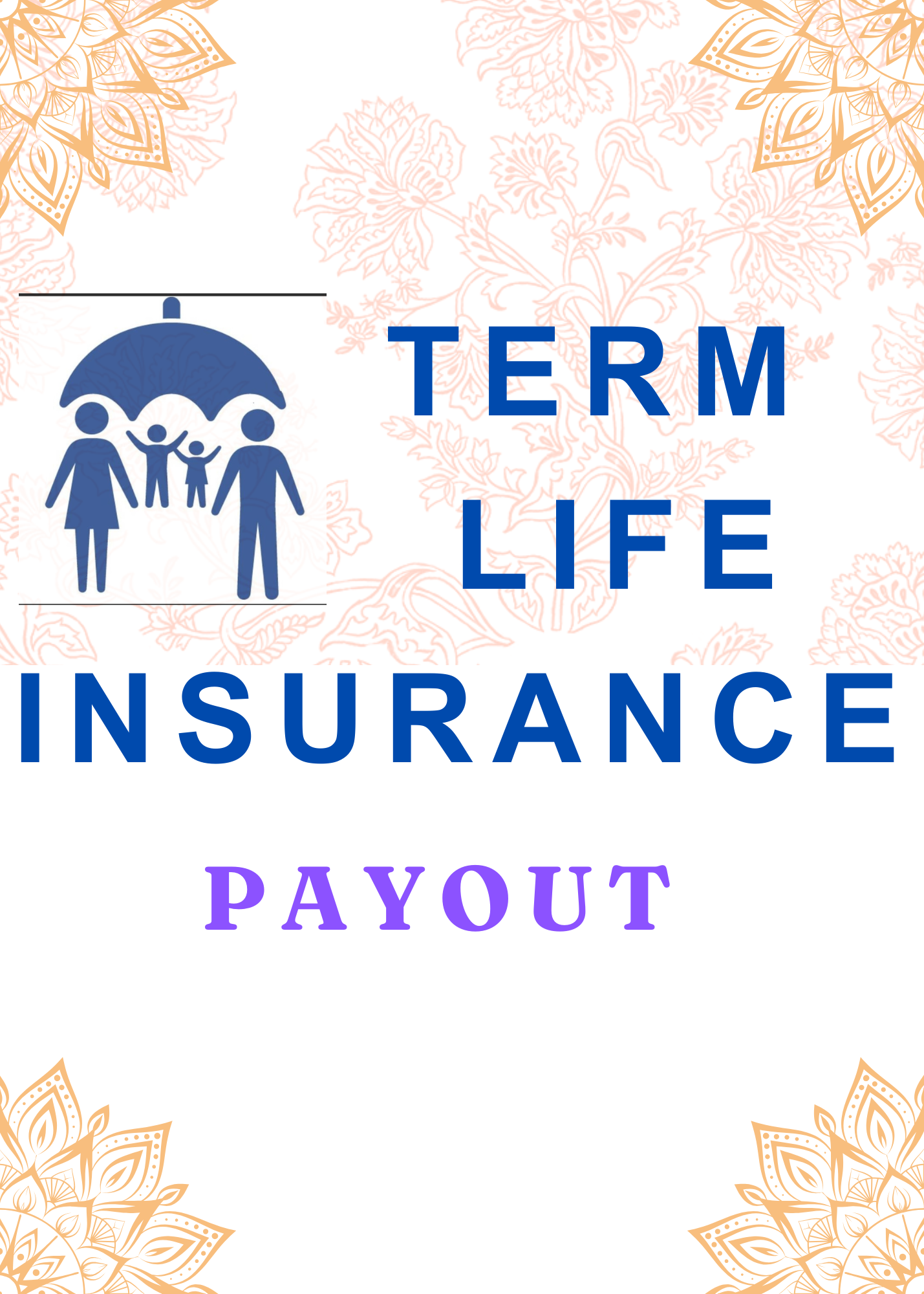 TERM LIFE INSURANCE