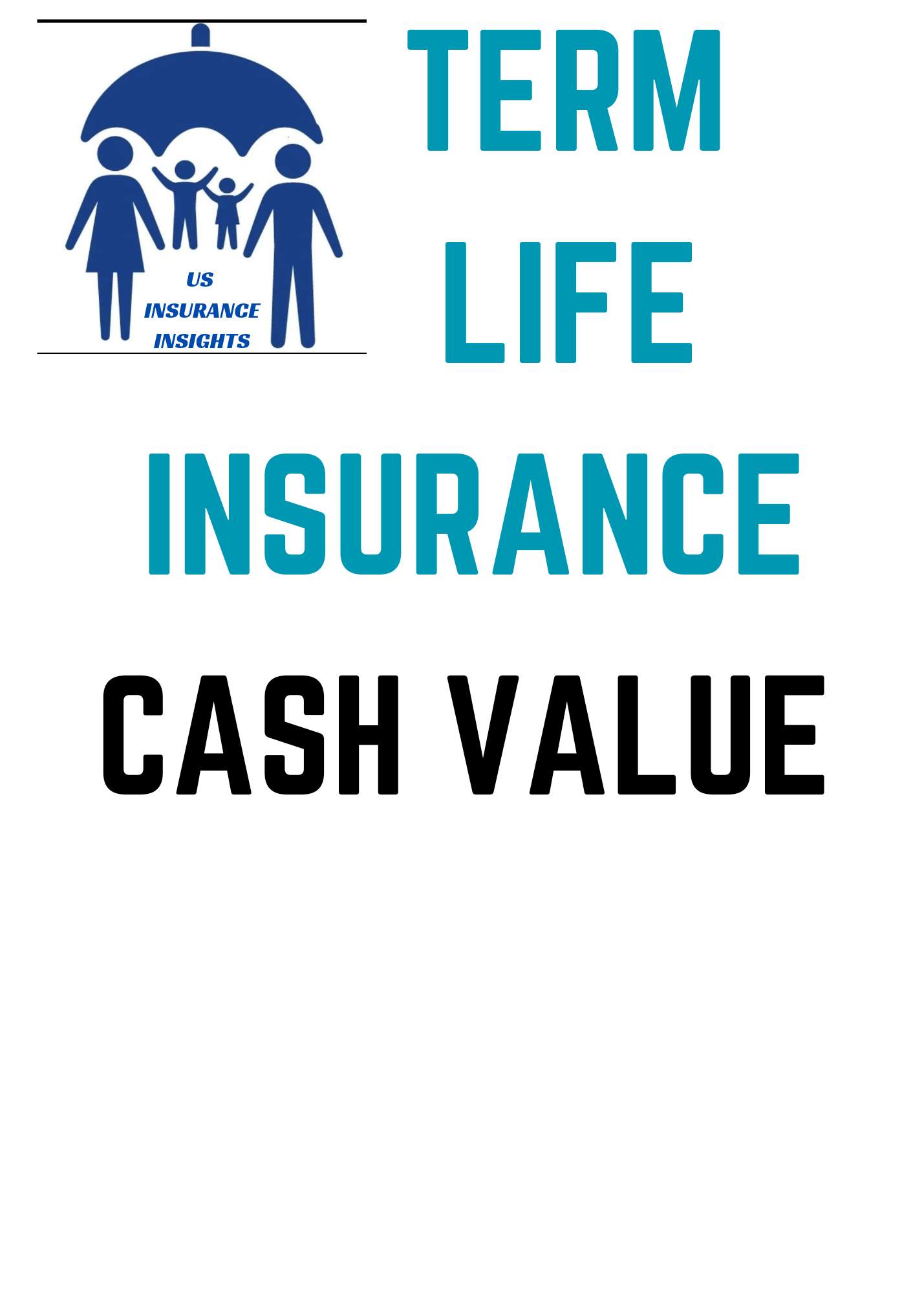 TERM LIFE INSURANCE