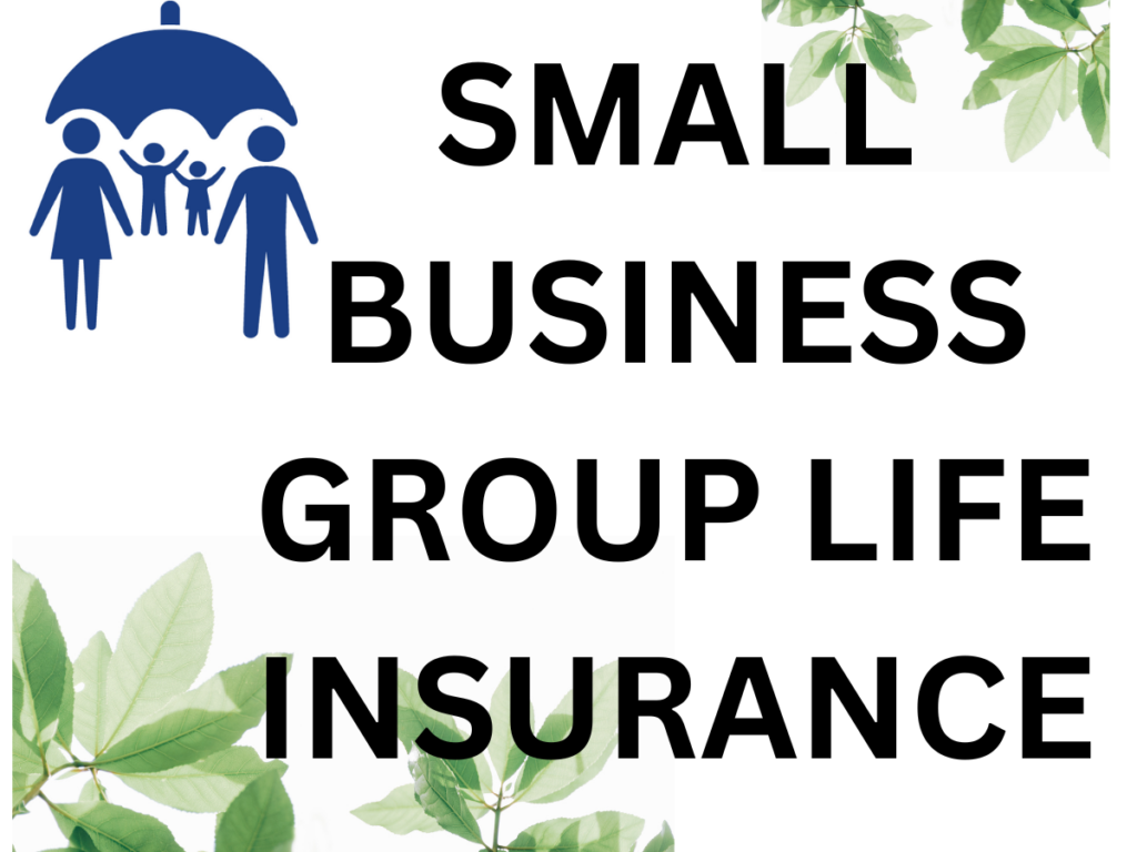 SMALL BUSINESS GROUP LIFE INSURANCE